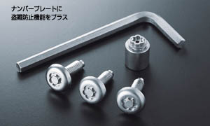 Lock volt/bolt (for license plate)