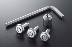 Lock volt/bolt (for license plate)