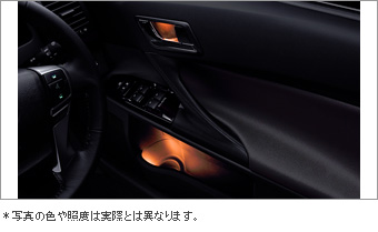 Door handle &amp\; pocket illumination (front &amp\; rear)/primer (door handle &amp\; for pocket illumination)