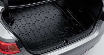Luggage tray