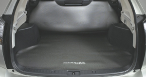 Reversible luggage mat