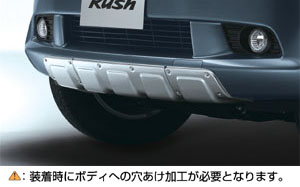 Front bumper protector