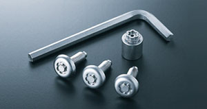 Lock volt/bolt (for license plate)