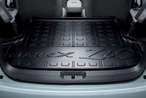 Luggage tray