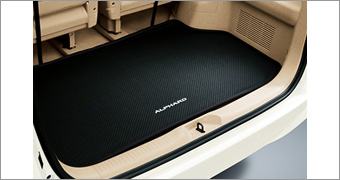 Luggage software tray