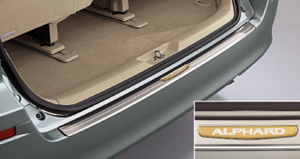 Rear bumper step guard