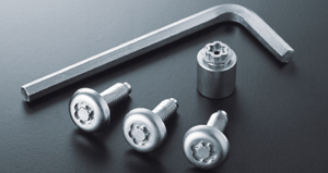 Lock volt/bolt (for license plate)