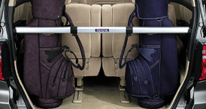 Luggage hold bar