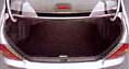 Trunk mat