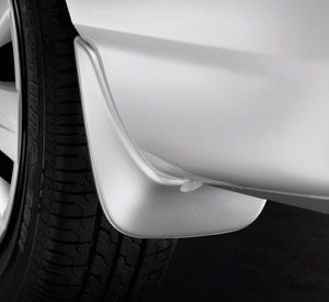 Mad guard (rear set)