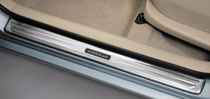 Scuff plate (stainless steel)