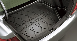 Luggage tray