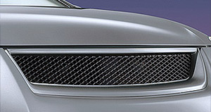 Sport grill