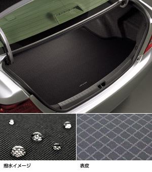Luggage software tray