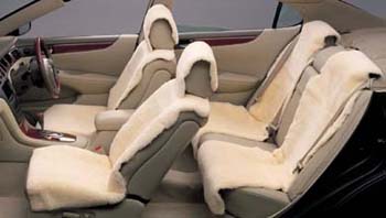 Full seat cover