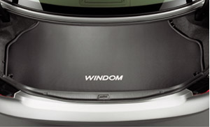 Luggage software tray