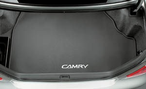 Luggage software tray
