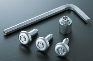 Lock volt/bolt (for license plate)