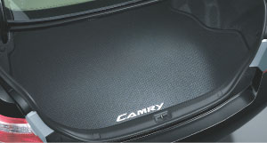 Luggage software tray