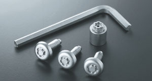 Lock volt/bolt (for license plate)