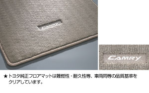 Floor mat (luxury type)
