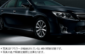 Well cam light/write (D P seat)