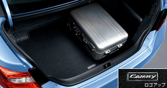 Trunk mat (carpet type)