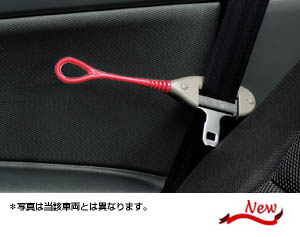 Seat belt support