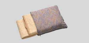 Blanket cushion
