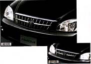 Headlight darkening system