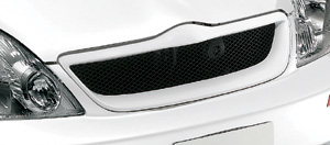 Sport grill