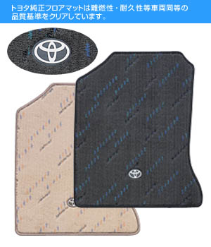Floor mat