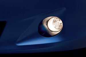 Fog lamp fog lamp (light body/switch)