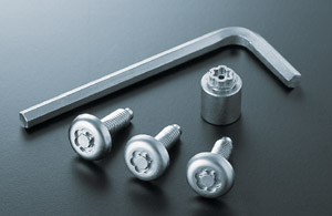 Lock volt/bolt (for license plate)