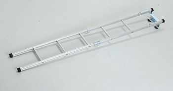 Wagon ladder