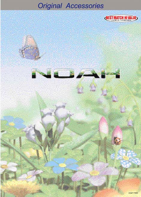 Noah
