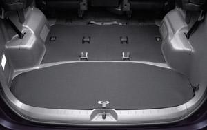 Long luggage mat