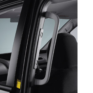 Rear assist grip (for LH)