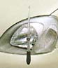 Fender lamp