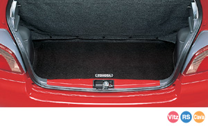 Trunk mat (carpet type)