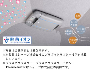 Disinfectant ion air cleaner (dome lamp attaching automatic)