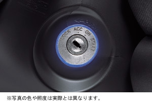 Ignition key illumination (blue)