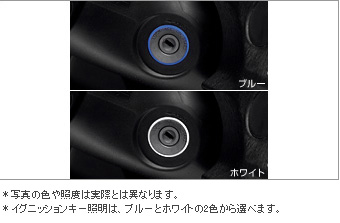 Ignition key illumination (blue/white)