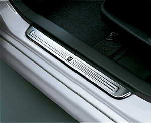 Scuff plate (stainless steel)