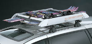 surishisutemuratsuku (all season carrier)
