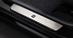 Scuff plate (stainless steel)