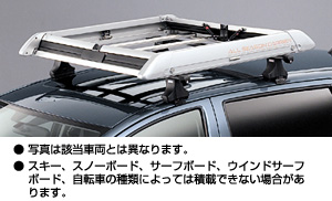 surishisutemuratsuku (all season carrier)