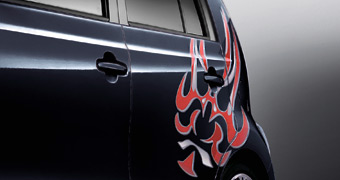 Body graphics (side LH)