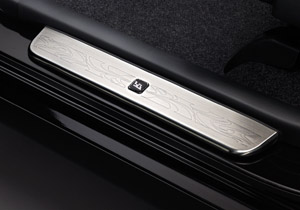 Scuff plate (stainless steel)