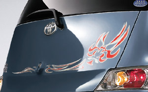 Body graphics (rear)